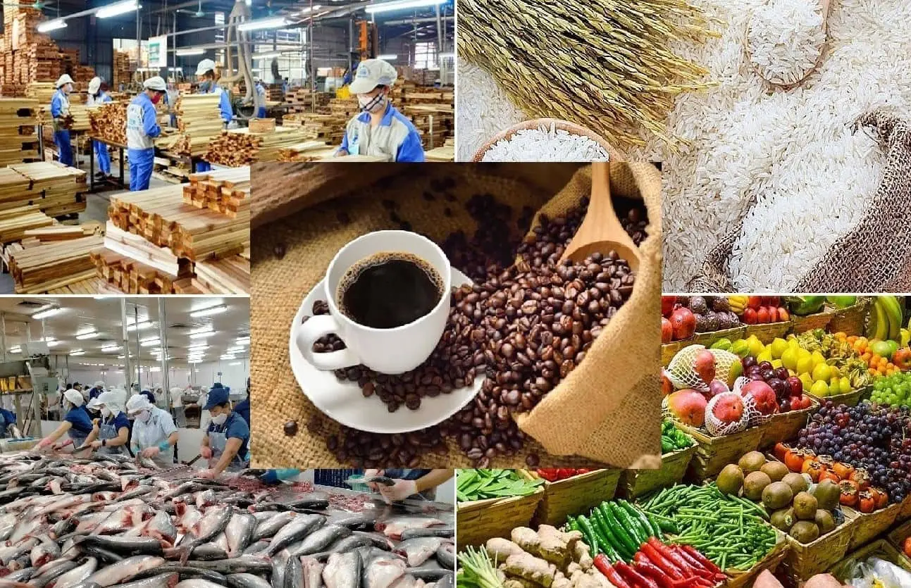 Xuất khẩu hàng nông sản giúp nâng cao giá trị gia tăng cho sản phẩm